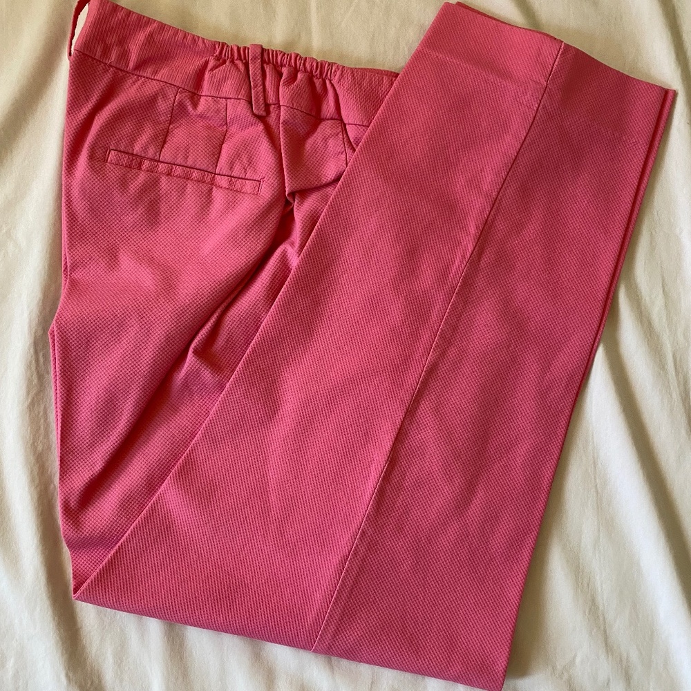 Talbots Pink Pique Hampshire Pants 18W